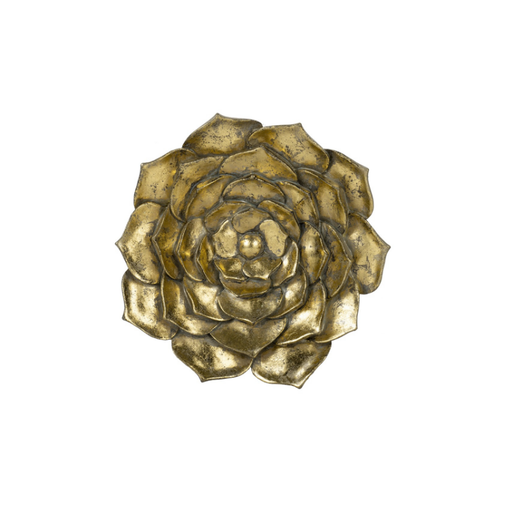 Gold Succulent Wall Plaque adding a touch of luxury and greenery to indoor spaces.
