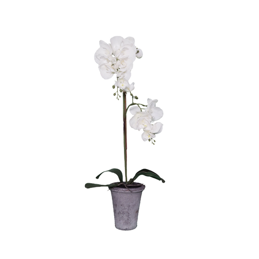 Sophisticated and lifelike single stem white orchid adding a touch of tranquillity to an indoor space