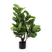 Artificial Fiddle Leaf Fig Tree Indoor Plant - Shopica Pty Ltd