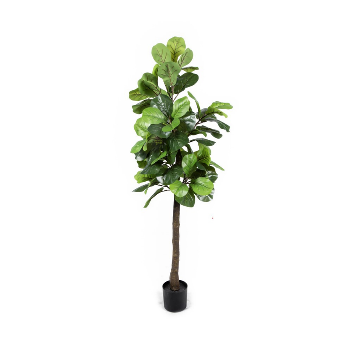 Artificial Fiddle Leaf Fig Tree Indoor Plant - Shopica Pty Ltd