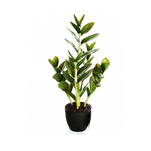 Stunning Artificial Ficus Black Pot Soil Planter - Shopica Pty Ltd