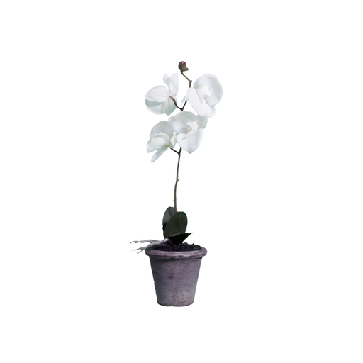 Elegant Artificial White Orchid Single Stem perfectly displayed in a chic indoor setting