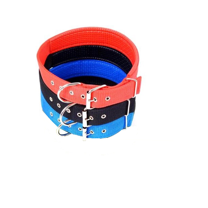 Soft, plush blue dog collar with adjustable strap for a perfect fit