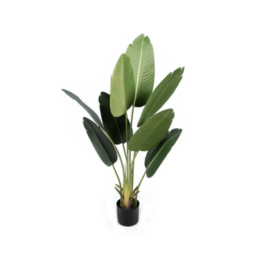 Striking faux Bird of Paradise leaves soar upwards, infusing the room with dynamic greenery