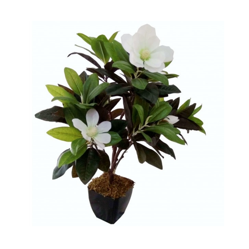 Realistic Artificial Magnolia Indoor Plant enhancing home decor with its vibrant white flowers and lush green leaves
