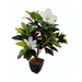 Realistic Artificial Magnolia Indoor Plant enhancing home decor with its vibrant white flowers and lush green leaves