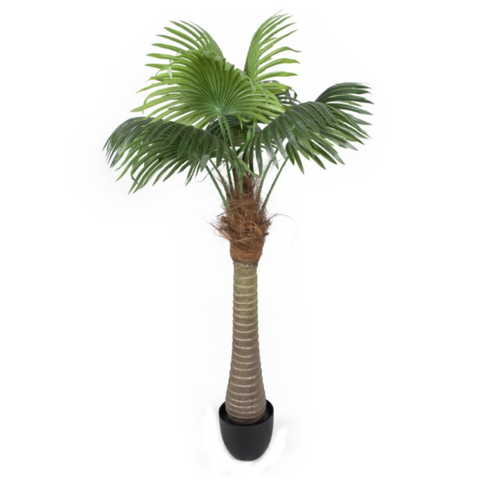 Artificial Phoenix Indoor Potted Palm Tree - Shopica Pty Ltd