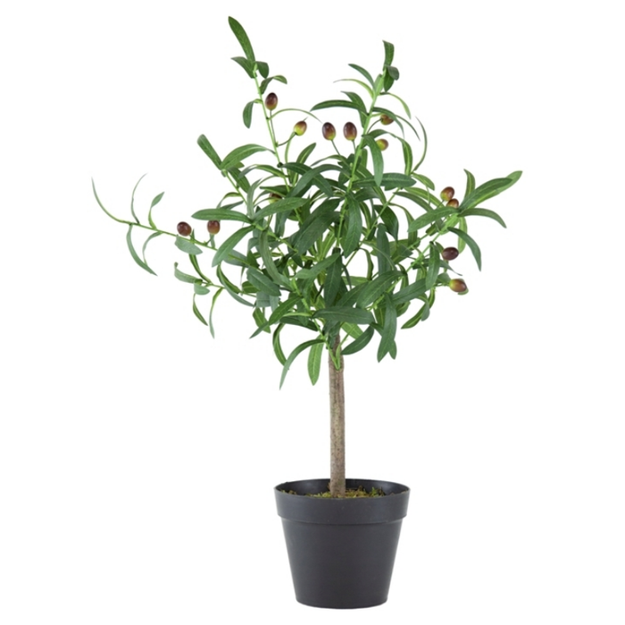 Olive Tree With Fruit In A Pot Farm Look Vibe Artificial Tree - Shopica Pty Ltd