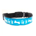 Night safety with reflective LED dog collar