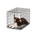 Luxury Meets Comfort: The Snooza Palatial Extra Large Crate