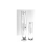 Tall and slender Clear Glass Vase adding a touch of luxury to your space