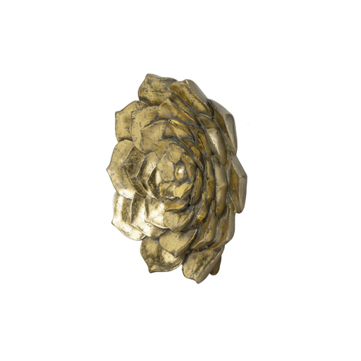 Elegant golden, succulent art piece, perfect for enhancing home decor with a botanical vibe.