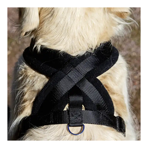 Breathe easy with your furry friend in our double-layered dog harness