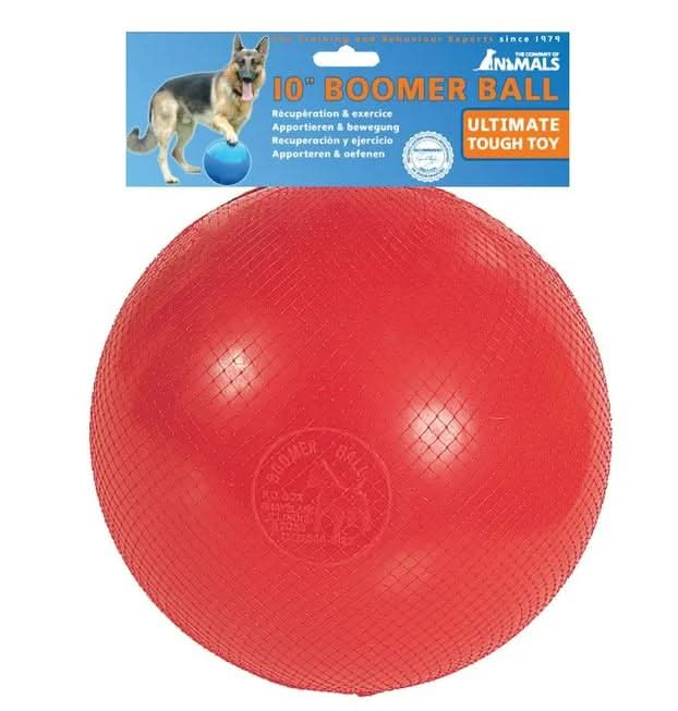 Choose the perfect size - Boomer Ball available in 4", 6", 8", & 10"