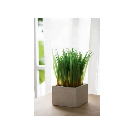 Square box green grass planter on a patio, melding nature with urban design