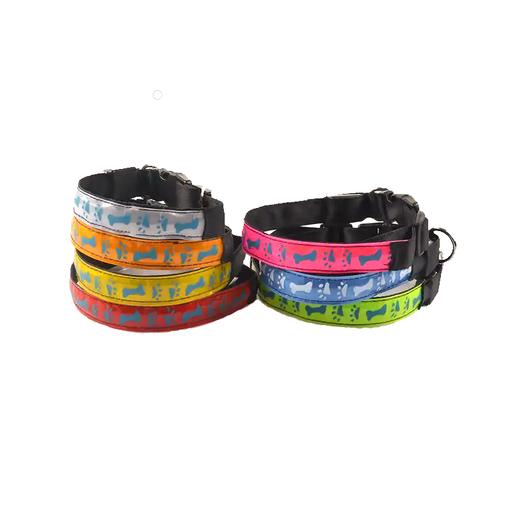 Elegant LED reflective dog collar in vibrant colours