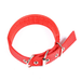 Luxurious red padded dog collar adjustable for comfortable wear