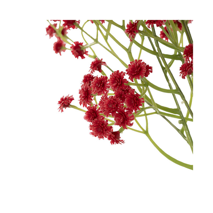 Gypsophila Baby's Breath Bunch In Romantic Red