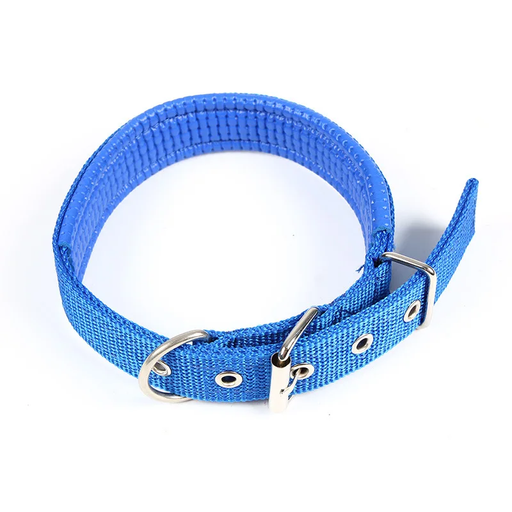 Durable and soft dog collar designed for ease and comfort in vibrant colours.