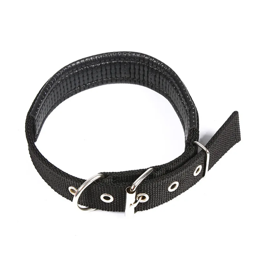 A black comfortable, premium padded collar