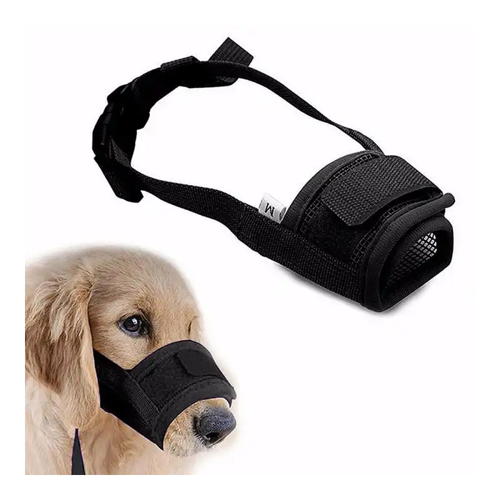 A joyful pup enjoying the outdoors, secured and comfortable in its Gentle Hug Muzzle