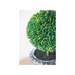 Close-up of the lifelike greenery of the Elegant Arboreal Charm faux topiary