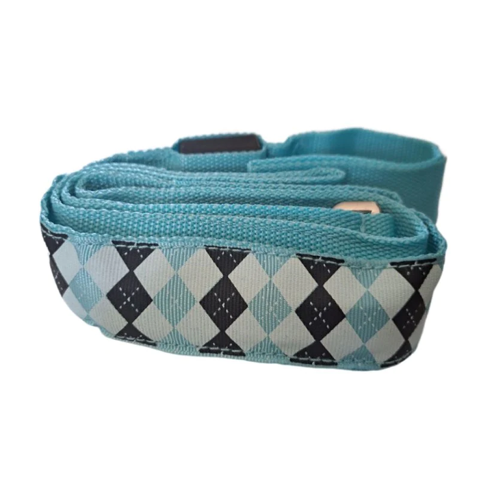 Glow with grace, blue comfortable nylon dog lead on a moonlit path