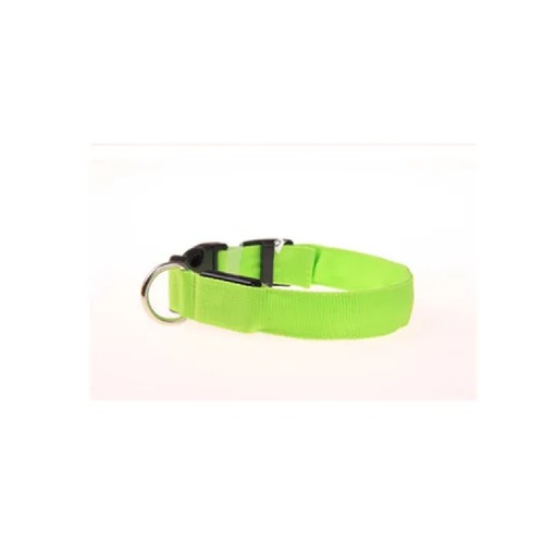 Adjustable LED dog collar showcasing visible safety at night in green.