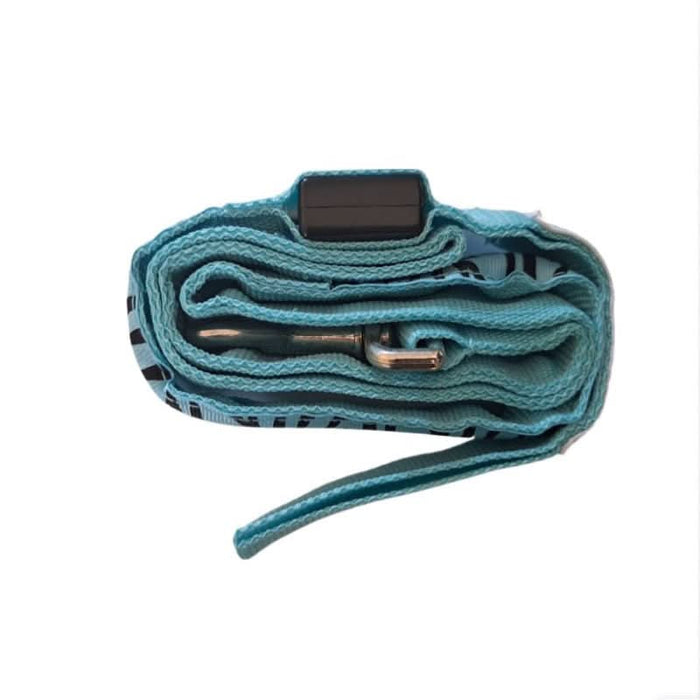 Evening elegance, blue LED-infused dog lead – Light up your path in style