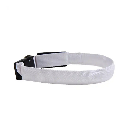 Pet fashion meets safety with an adjustable LED night collar in white.