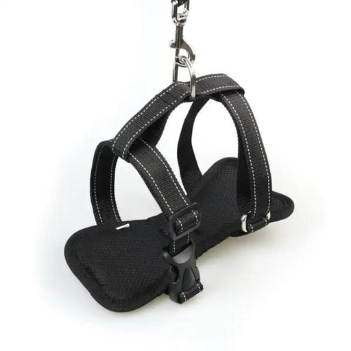 Elegance on the go - Black Journey Embrace Safety Harness for the sophisticated pet
