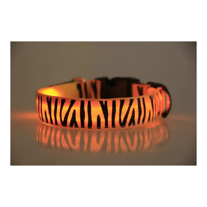 Vibrant Orange zebra print dog collar with LED lighting