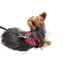 Secure and stylish hands-free leash – Your essential outdoor companion