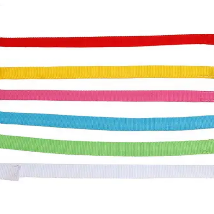 Pet fashion meets safety with an adjustable LED night collar in multi colour