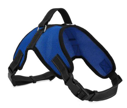 Experience the ultimate dog walk with the breathable and stylish ComfyFit Breeze Harness.